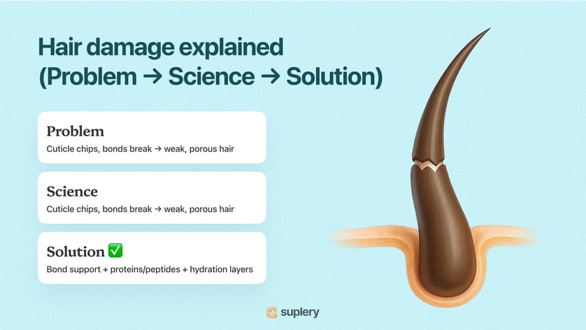 Hair damage explained infographic — problem, science, and solution with bond support, proteins, and hydration.