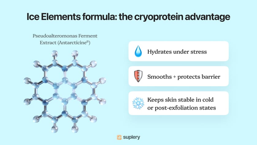  Infographic explaining the Ice Elements formula with Antarcticine® extract that hydrates, protects the skin barrier, and stabilizes skin under stress.