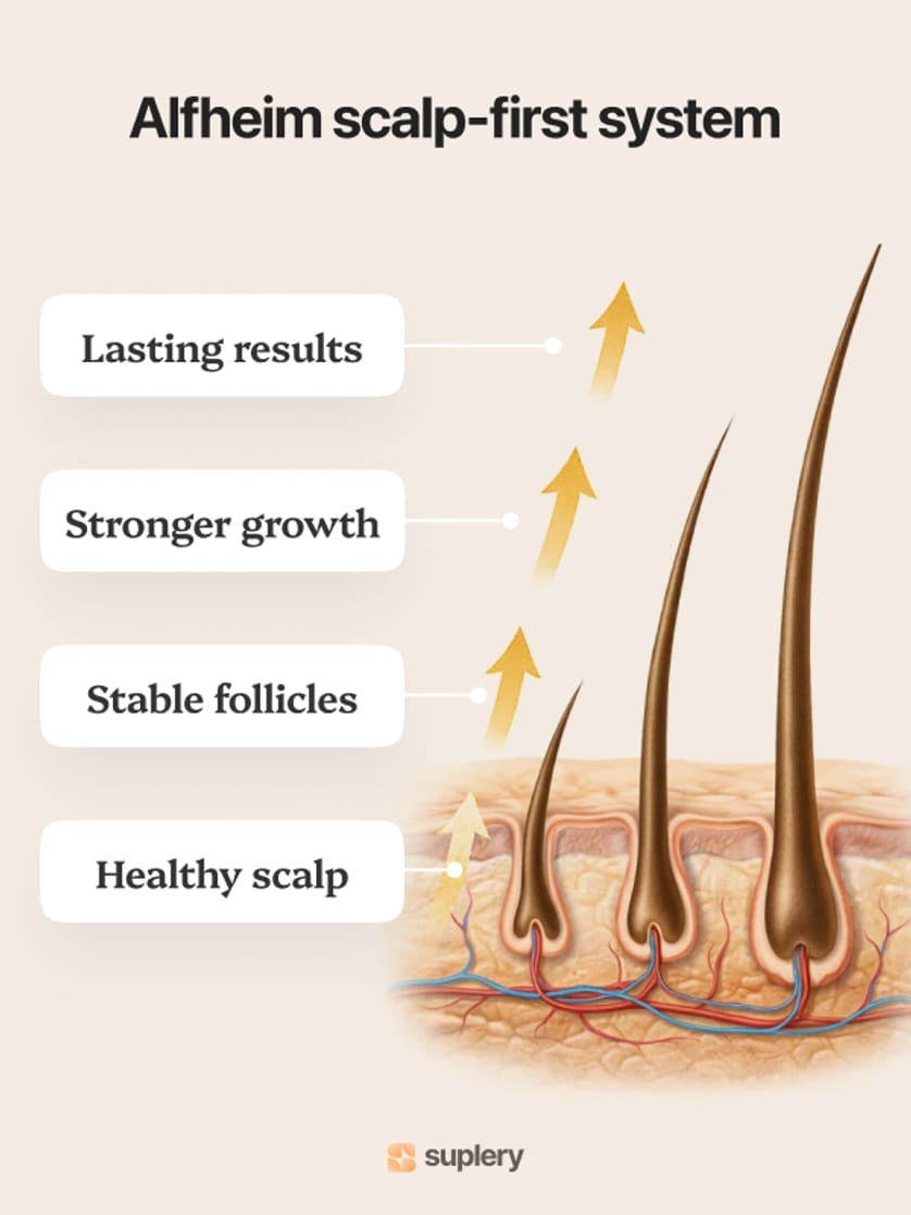  Infographic explaining the Alfheim scalp-first approach for lasting results, stronger growth, stable follicles, and a healthy scalp.